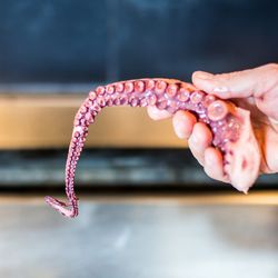 The tentacles are held at temperature in an Alto-Shaam during service.