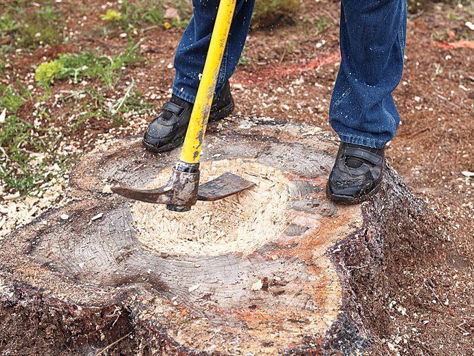 Details about   Concrete Tree Stump Planter 