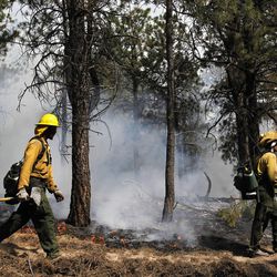 AmeriCorps volunteer firefighters assigned to the El Paso County Sheriff's Office, Woodland Fire Crew, help contain a spot fire in an evacuated area of forest, ranches and residences, in the Black Forest wildfire area, north of Colorado Springs, Colo., on Thursday, June 13, 2013.  The blaze in the Black Forest area northeast of Colorado Springs is now the most destructive in Colorado history, surpassing last year's Waldo Canyon fire, which burned 347 homes, killed two people and led to $353 million in insurance claims. (AP Photo/Brennan Linsley)