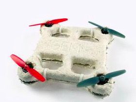fungus-drone