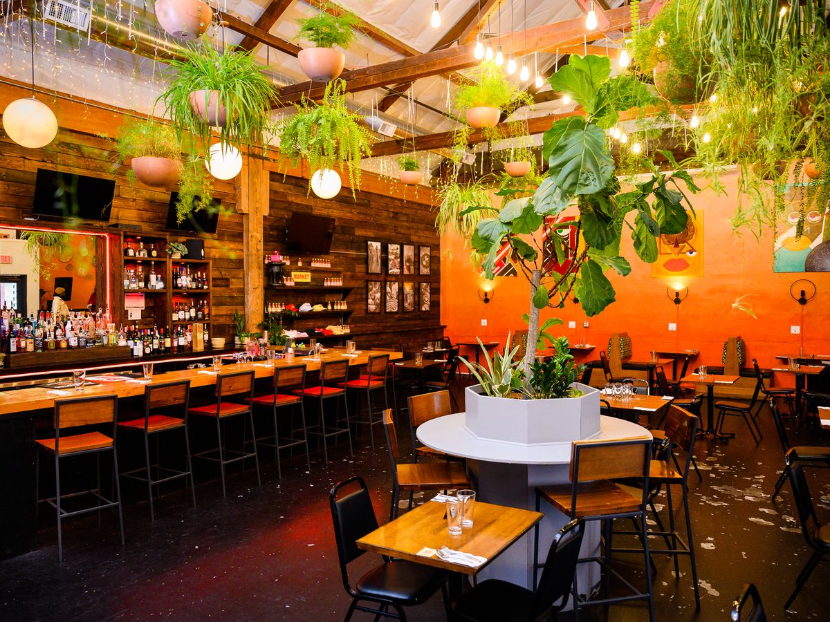 Plants hang from the rafters in the colorful dining room at Akadi in Southeast Portland.