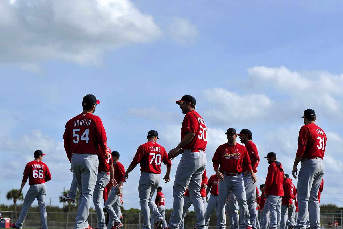 MLB: St. Louis Cardinals-Workout