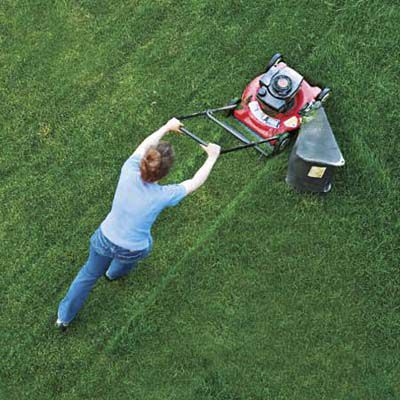 Person Pushing Manual Lawn Mower 