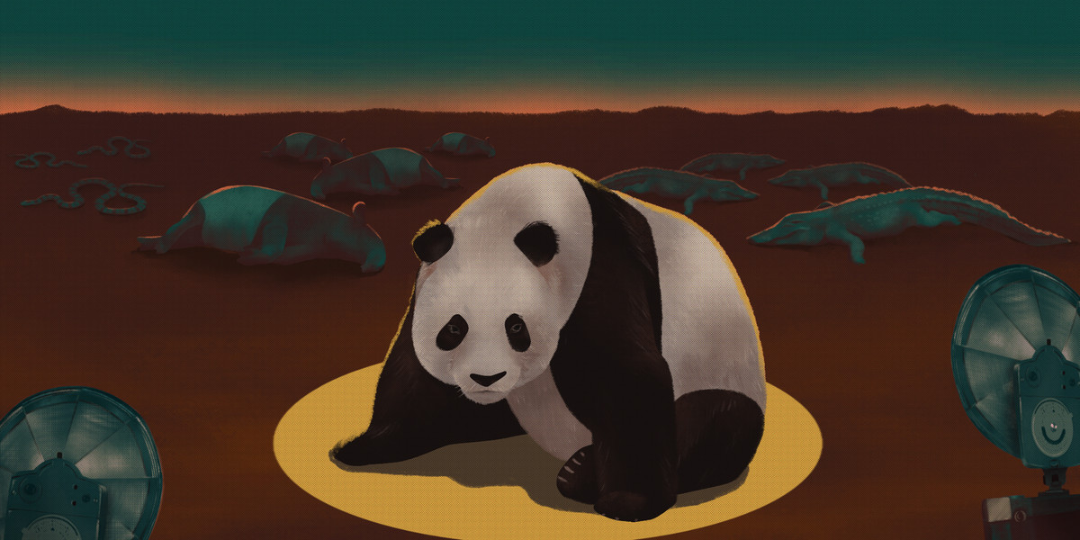 How we saved pandas from extinction as the rest of nature collapsed - Vox