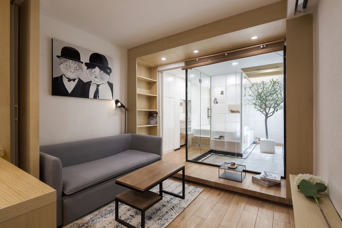 tiny apartment designed for two people, 51  cats 