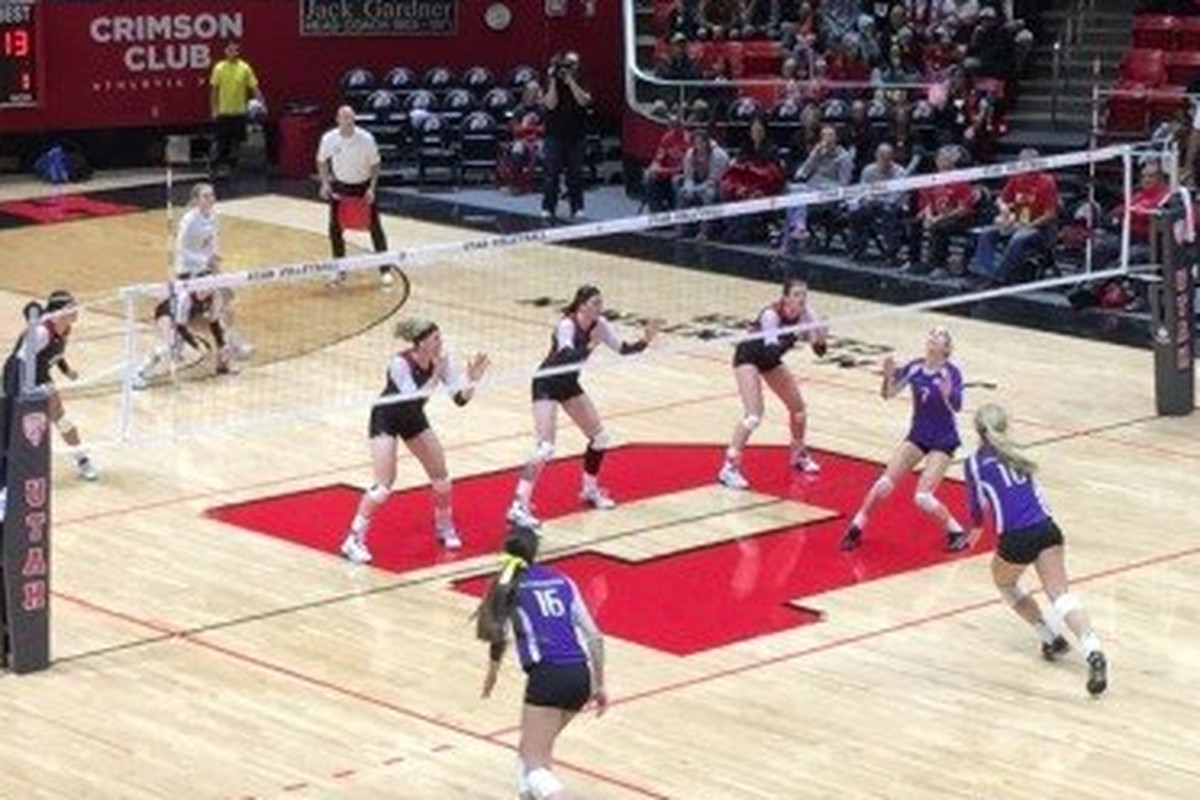 Utah volleyball is currently on a four match winning streak after knocking off No. 2 Washington in five sets.