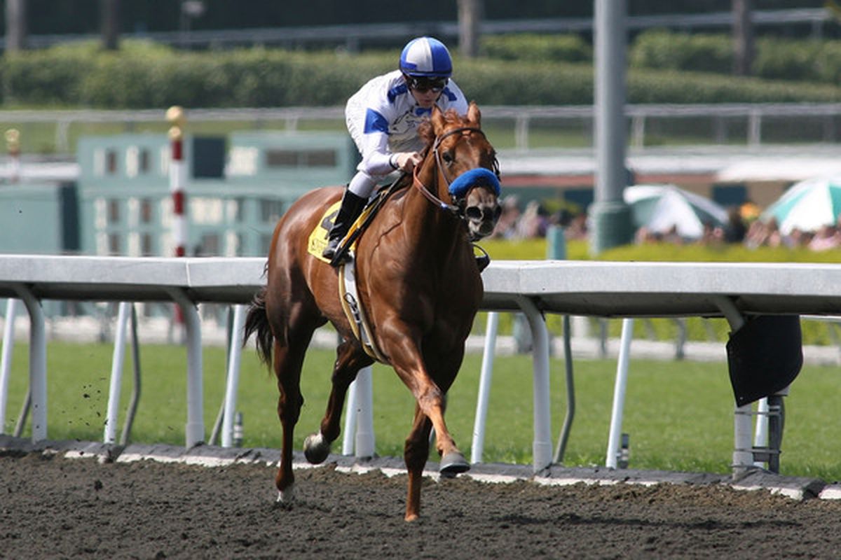 ARCADIA, CA - APRIL 03: Jockey Joseph Talamo rides Sidney's Candy to victory in the 73rd running of the Grade I Santa Anita Derby on April 3, 2010 at Santa Anita Race Track in Arcadia, California. (Photo by Jeff Golden/Getty Images)