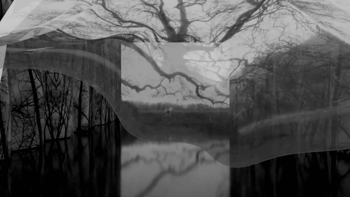 A black-and-white dreamscape, with trees printed onto what looks like flowing curtains.