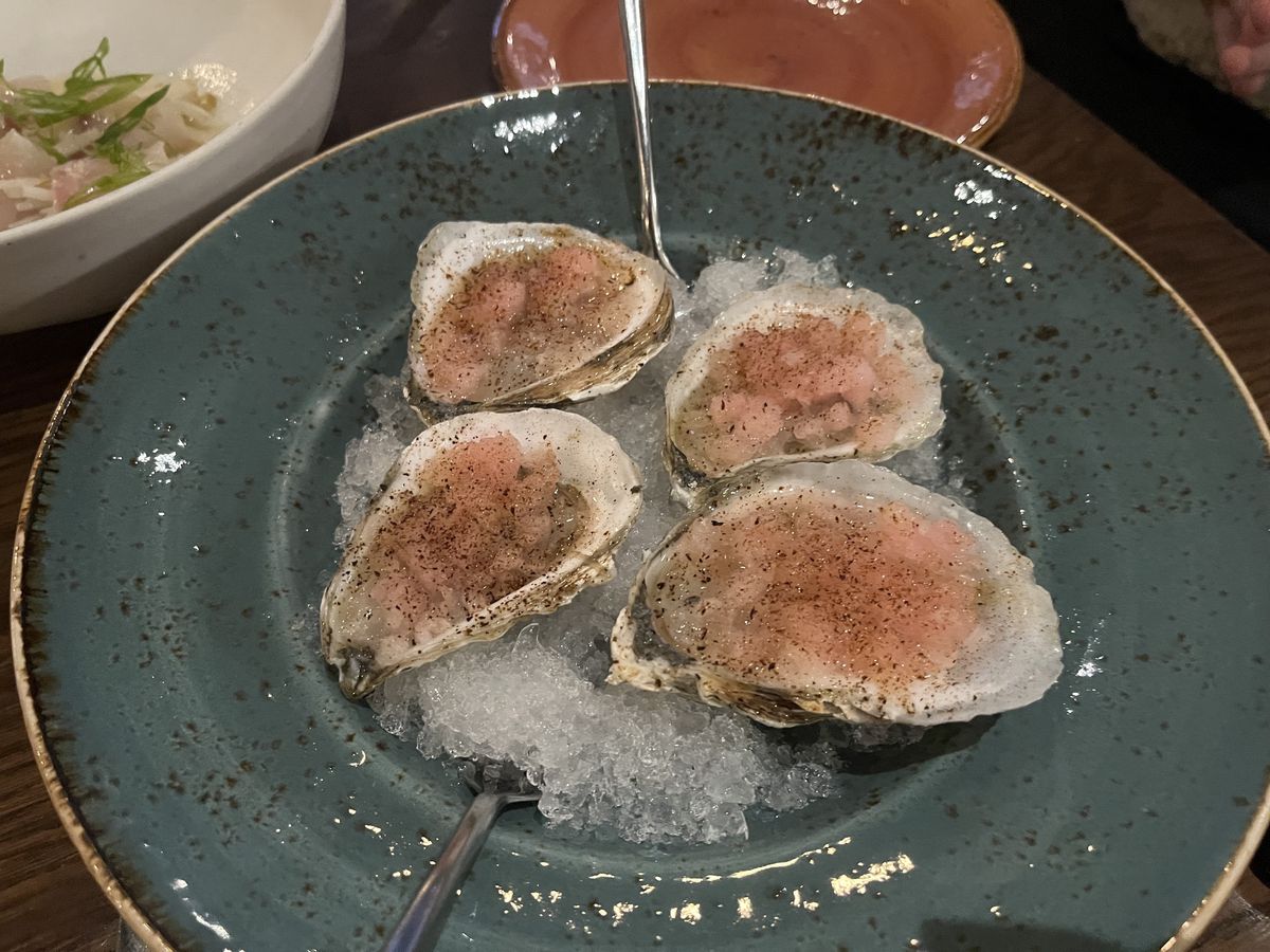 Four oysters topped with pink ice, arranged on a blue plate.