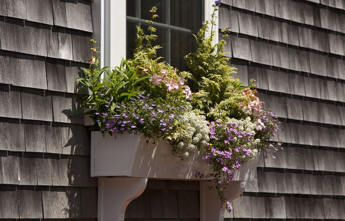 Window Boxes How to Choose the Best Flowers & Planters   This Old ...
