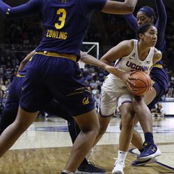 The UConn Huskies take on the California Golden Bears in a women's college basketball game at Gampel Pavilion in Storrs, CT on November 17, 2017.