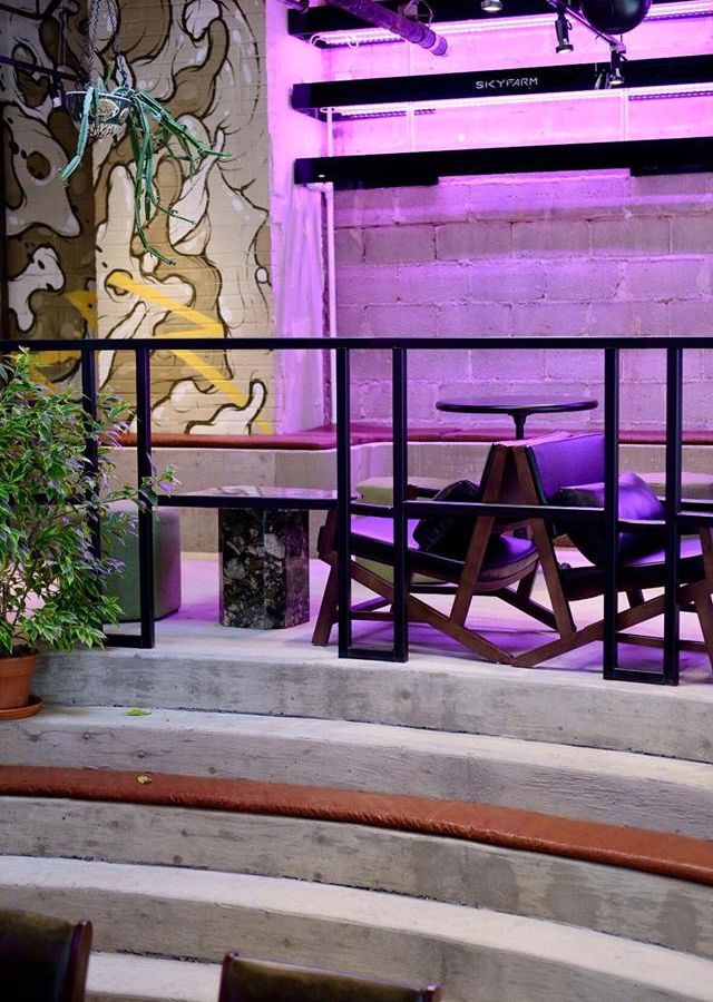 A coffee shop with a purple wall. 