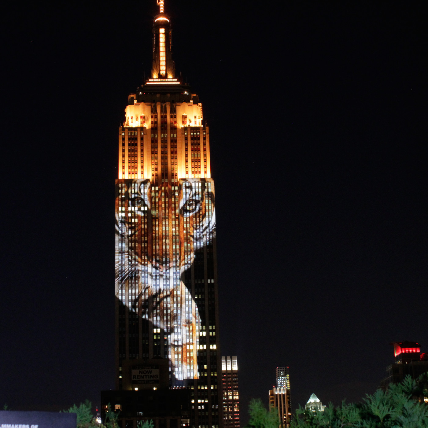 Last night The Empire State Building became the face of extinction ...