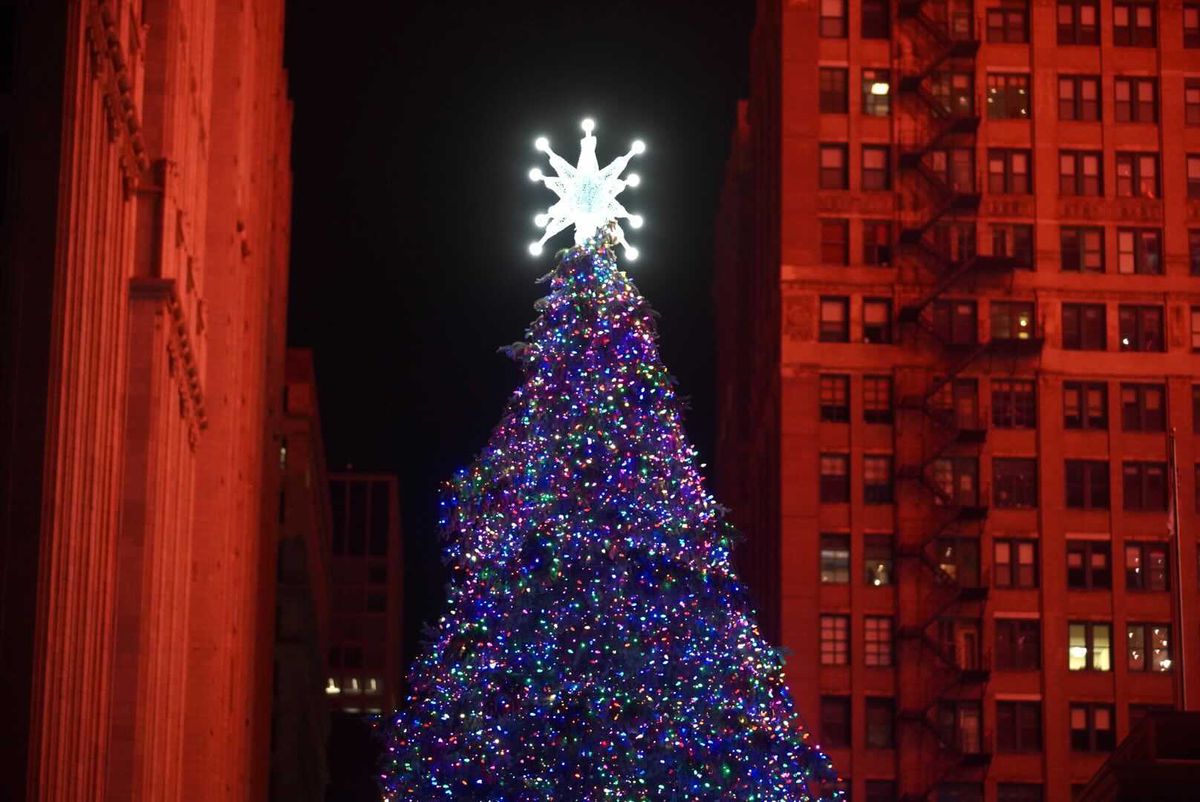 This year's official Chicago Christmas tree in Millennium Park is a 51-foot blue spruce, donated by the Benavides family of Logan Square.  He had stayed in their yard for 34 years.