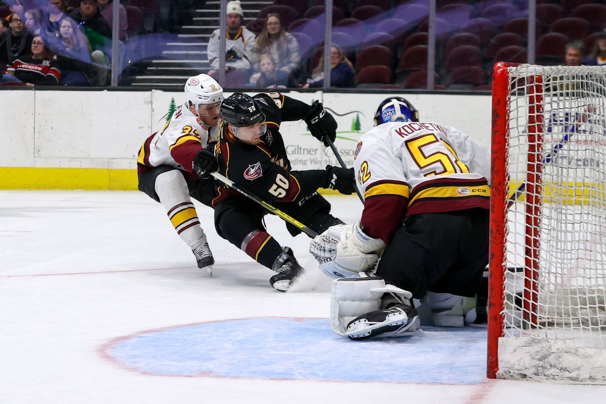 AHL: MAR 29 Chicago Wolves at Cleveland Monsters