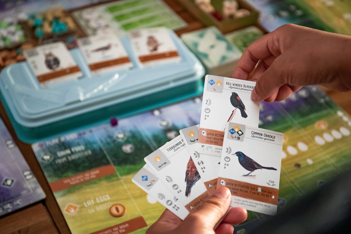 Playing cards for the board game Wingspan, each with a bird on it.