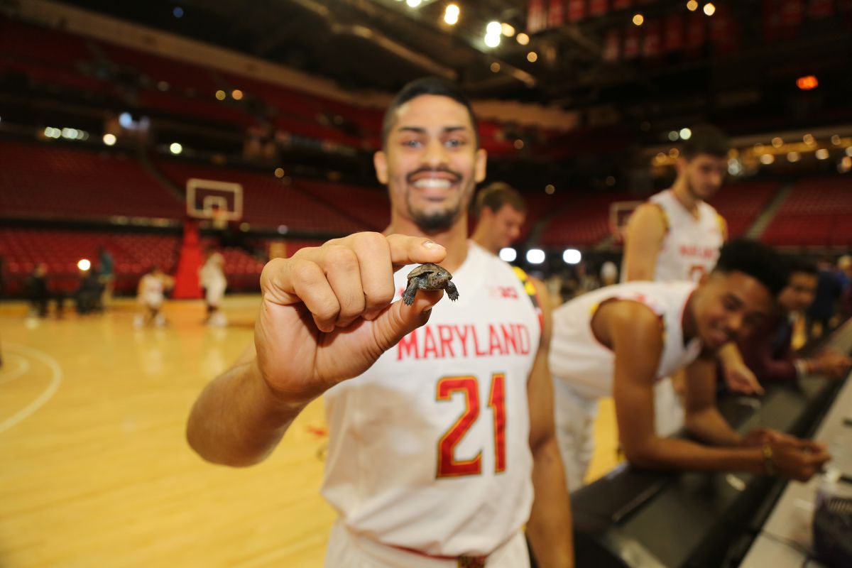 Varun Ram and a turtle, at Maryland's media day on Oct. 20. 