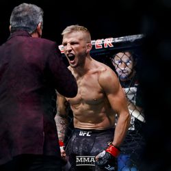 T.J. Dillashaw gets his intro at UFC 227.
