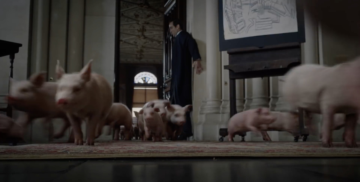 A herd of piglets run through a law office as a man tries to escape them.