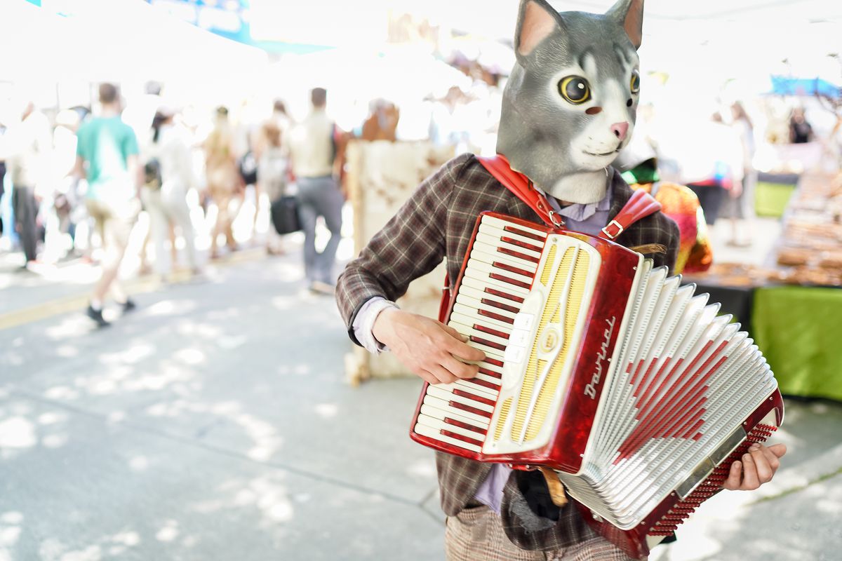 A person with a cat mask playing the accordion