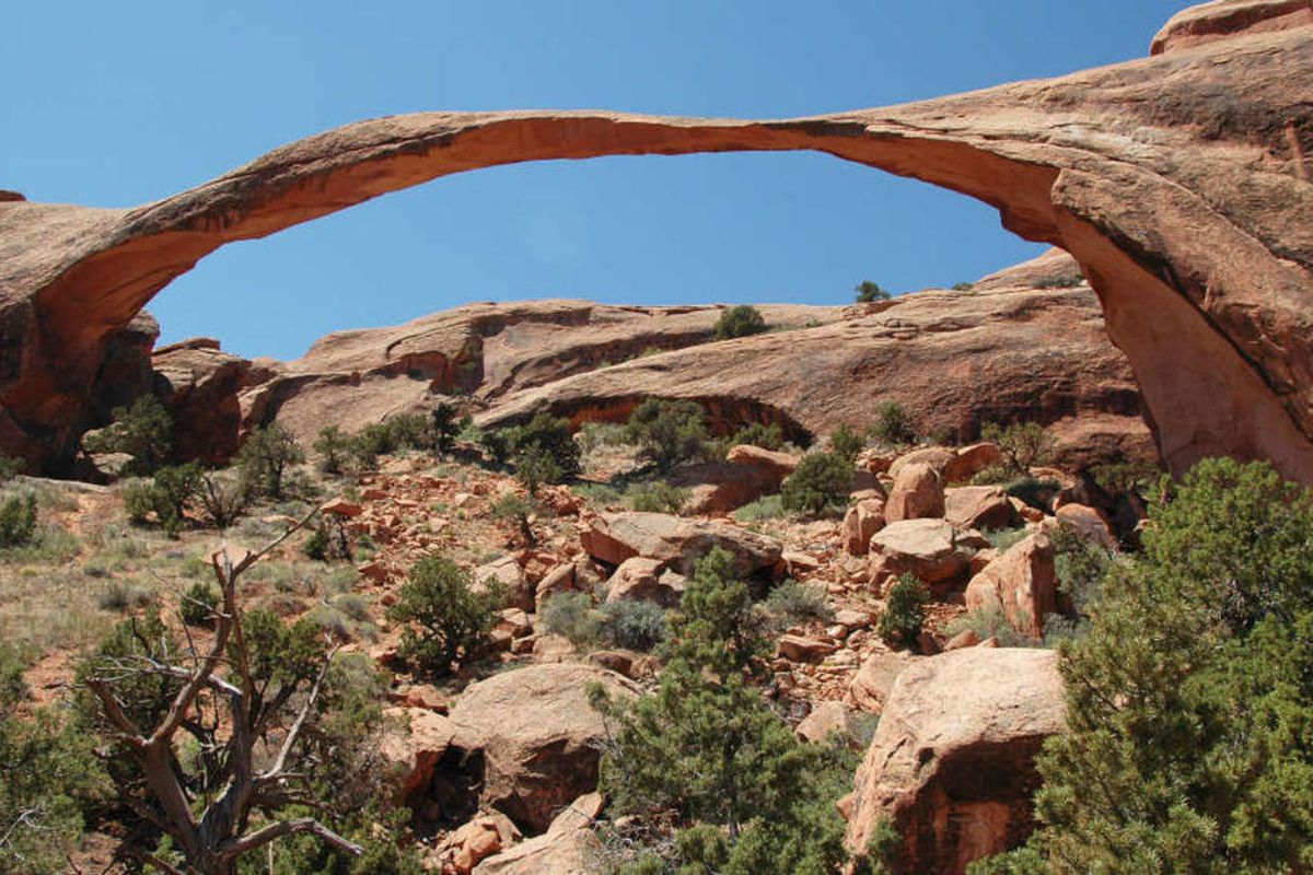 A chaotic and dangerous traffic mess that forced an unprecedented temporary closure of Arches National Park has lit a fire under a big controversy: Should tourists be required to have a reservation to enter the national park?