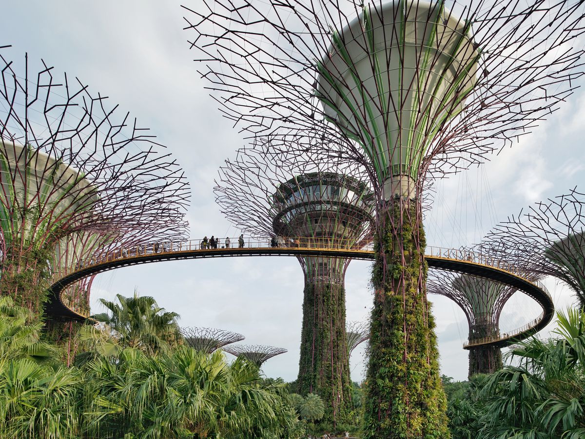 Things to do in Singapore: Design and architecture - Curbed