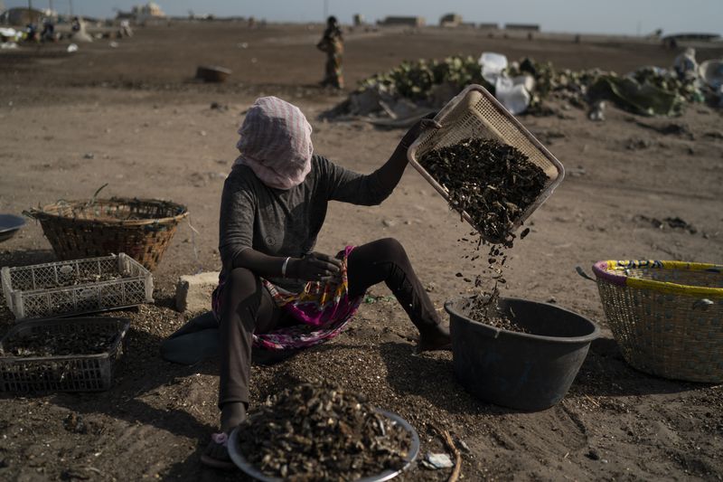 A woman works at a fish-processing site on Bargny beach.