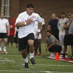 Utah's Lei Talamaivao works out at Utah Pro Day where departing University of Utah senior football players and some invitees work out for NFL scouts in Spence Eccles Field House Friday, March 23, 2012, in Salt Lake City, Utah.   
