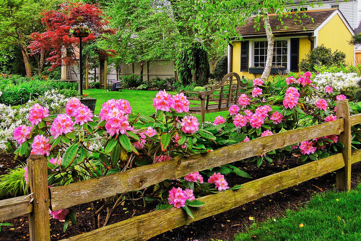 Flowers behind fence in garden