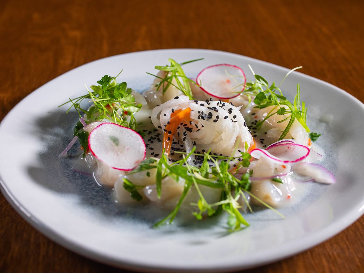 Ceviche with microgreens and sliced radishes on a pattered plate.