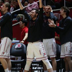 Utha's bench celebrates a three point basket as Utah and UC Davis play in an NIT basketball game at the Huntsman Center in Salt Lake City on Wednesday, March 14, 2018. Utah won 69-59.