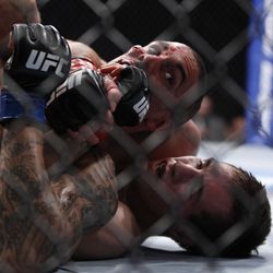 UFC 145 Photos