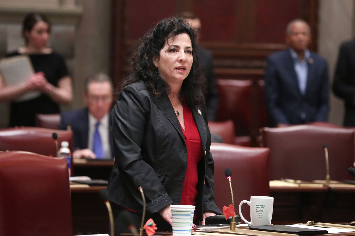 State Sen. Diane Savino (D-Brooklyn and Staten Island) 