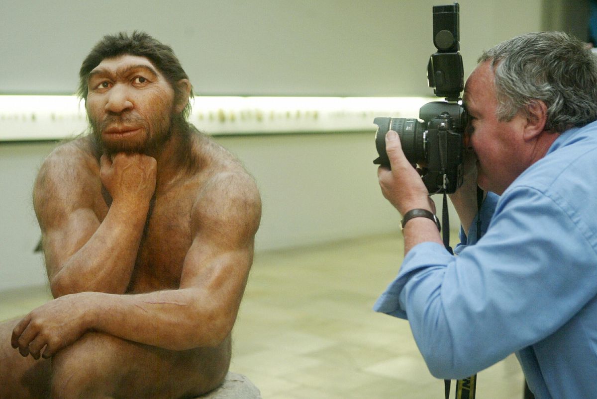 Evolutie om neanderthal