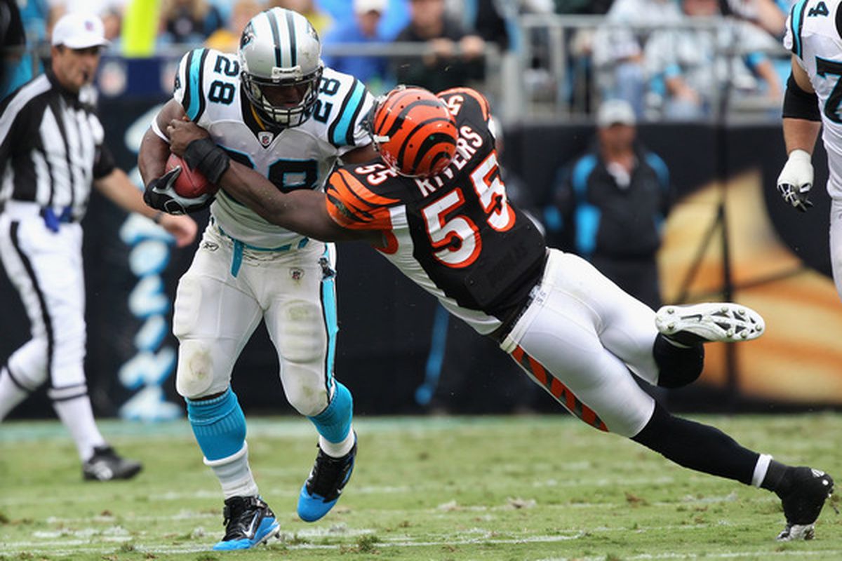 Keith Rivers of the Cincinnati Bengals tackles Jonathan Stewart of the Carolina Panthers during their game at Bank of America Stadium on September 26 2010 in Charlotte North Carolina.  (Photo by Streeter Lecka/Getty Images)
