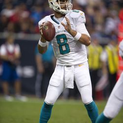 Aug 17, 2013; Houston, TX, USA; Miami Dolphins quarterback Matt Moore (8) drops back to pass during the second half against the Houston Texans at Reliant Stadium. The Texans defeated the Dolphins 24-17.
