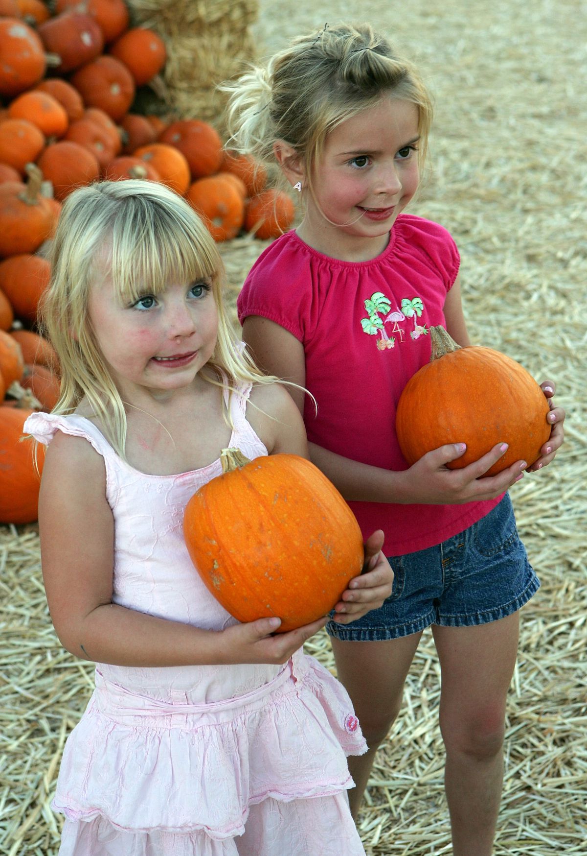Pumpkin Patch Attracts Fall Revelers