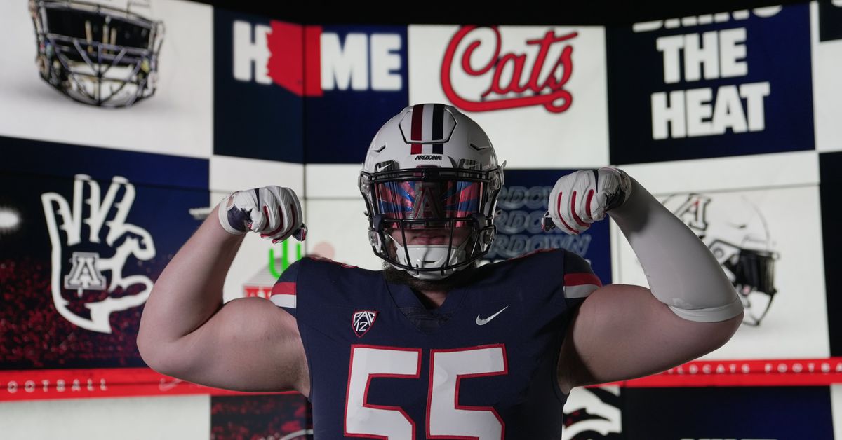 3-star 2025 offensive lineman Toby Mealer commits to Arizona