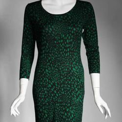 <strong>Corey Lynn Calter</strong> Green Leopard Sweater Dress at Twilight Boutique, <a href="http://www.twilightboutique.com/shop/green-leopard-sweater-dress/">$278</a>