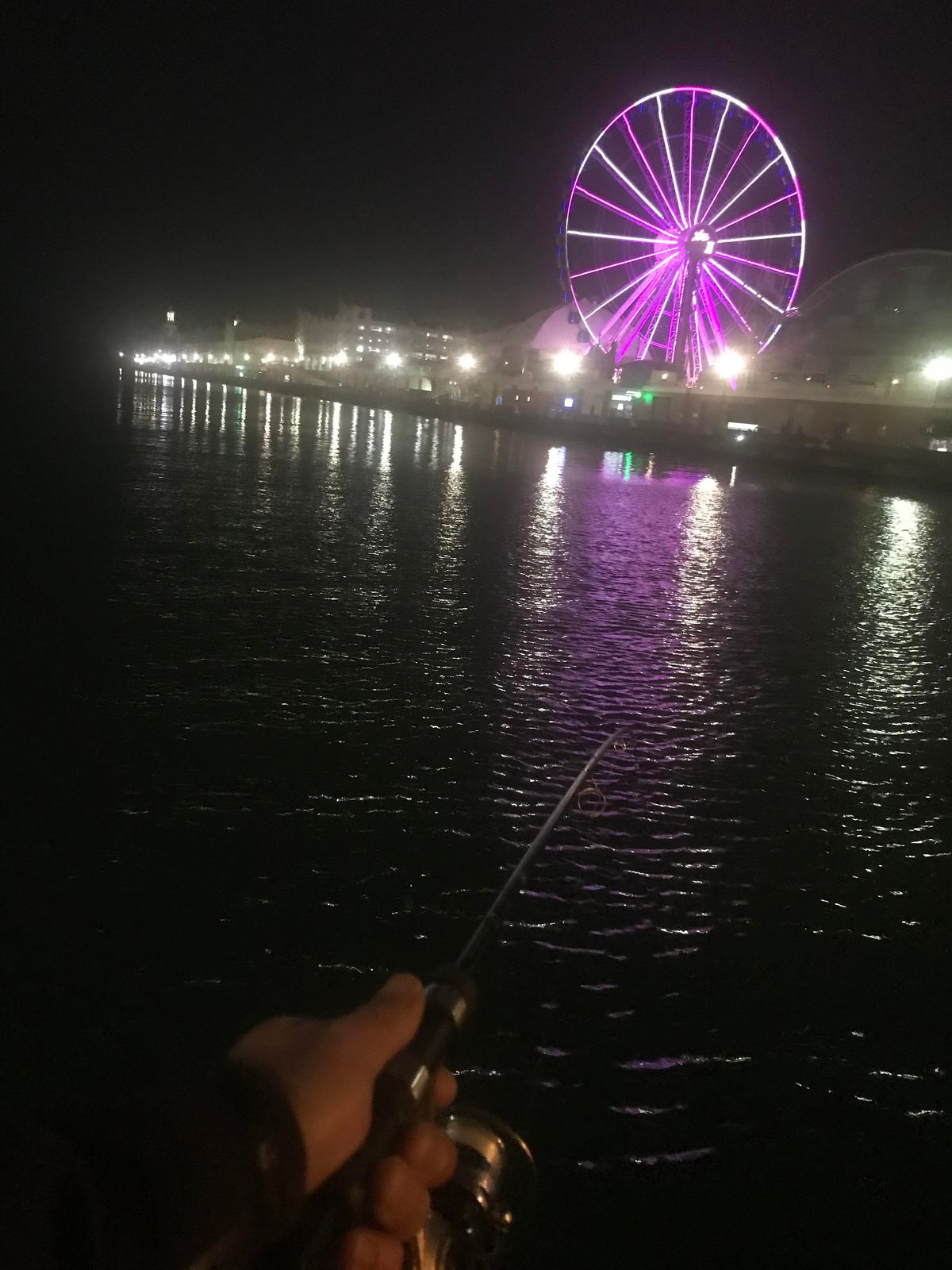 Navy Pier in the dark while perch fishing. Provided by Oscar Santos.
