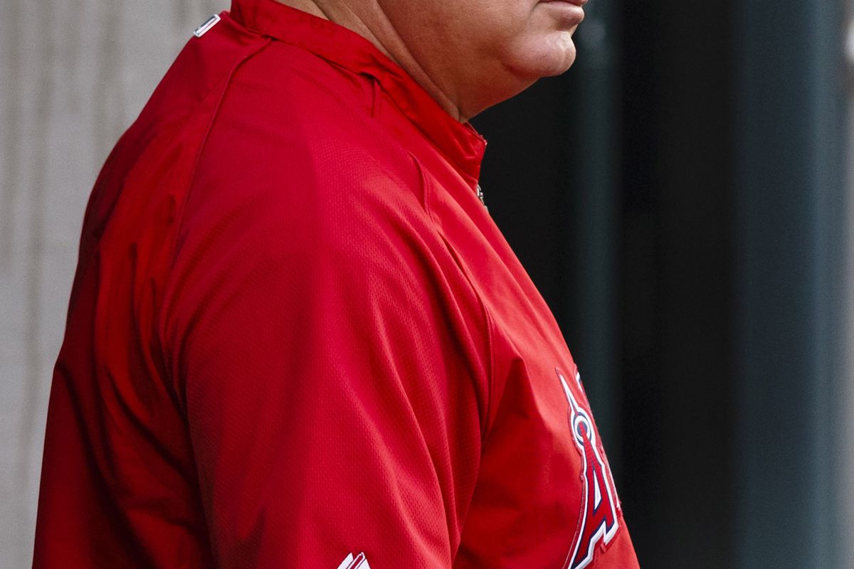 August 24, 2012; Detroit, MI, USA; Los Angeles Angels manager Mike Scioscia (14) in the dugout during the third inning against the Detroit Tigers at Comerica Park. Mandatory Credit: Rick Osentoski-US PRESSWIRE