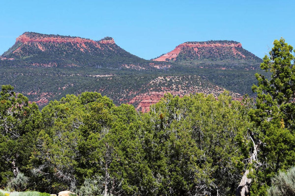 FILE: Political leaders and other Utahns react to President Barack Obama's decision to designate a national monument in the Bears Ears area in southeastern Utah.