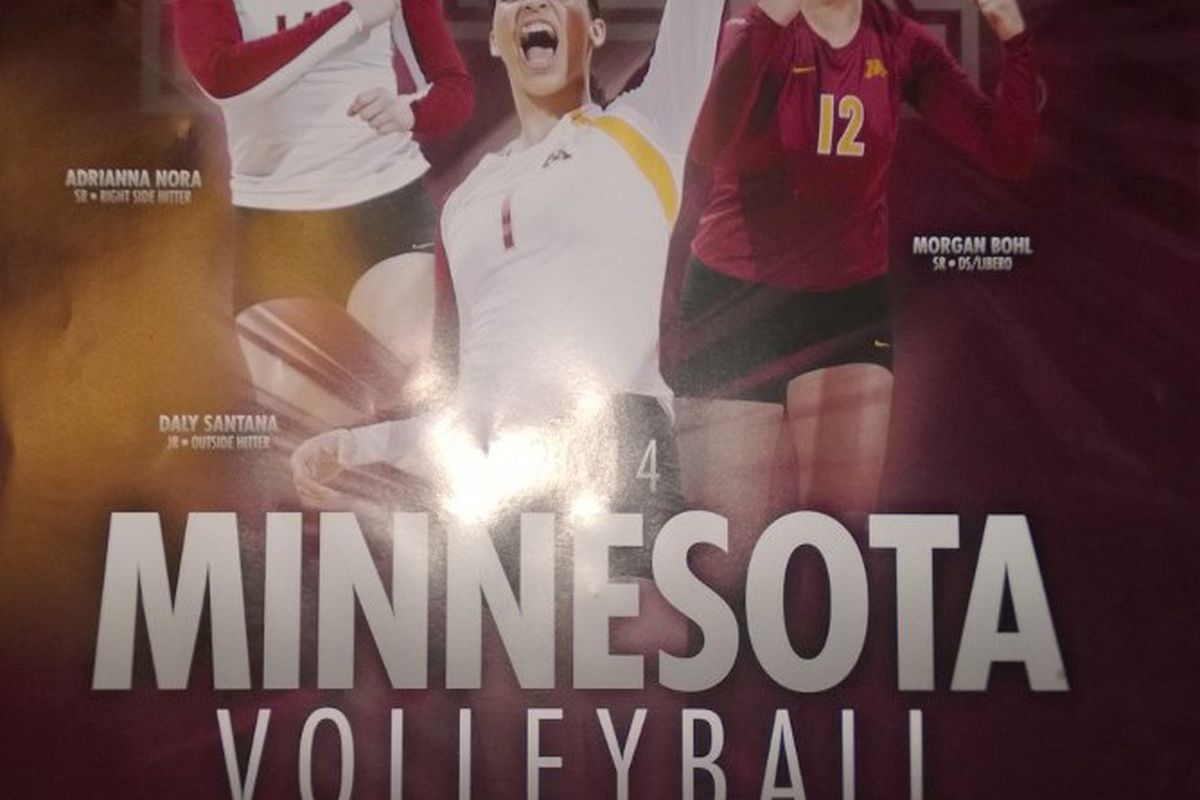 2014 University of Minnesota Volleyball Poster