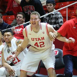 Utah's Jakob Poeltl celebrates with teammates as the University of Utah defeats Arizona State University 81-46 in PAC 12 men's basketball Thursday, Feb. 25, 2016, in Salt Lake City.