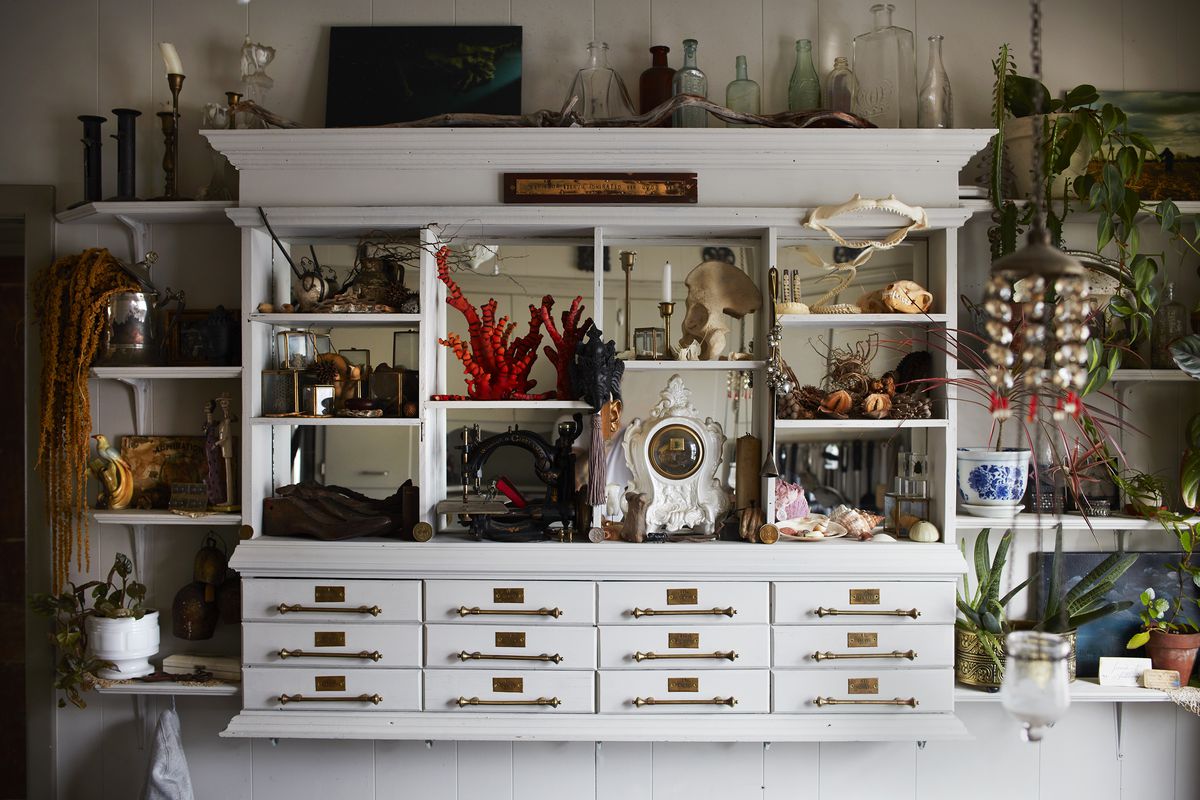 A white with many compartments organizes collections of bottles, bones, shells, and plants.