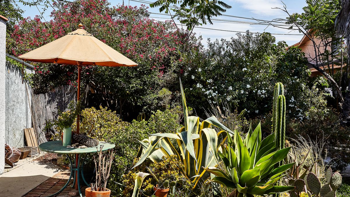 An outdoor seating area with a table that has a peach colored umbrella. There are various plants and cacti in the yard.  