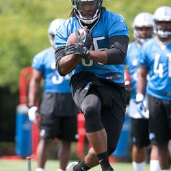 Jul 26, 2013; Allen Park, MI, USA; Detroit Lions running back Joique Bell (35) during training camp at the Detroit Lions training facility. 