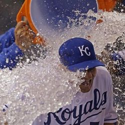 Kansas City Royals right fielder David Lough is dunked by teammates at the end of a baseball game against the Minnesota Twins Wednesday, June 5, 2013, in Kansas City, Mo. The Royals won the game 4-1. (AP Photo/Charlie Riedel)