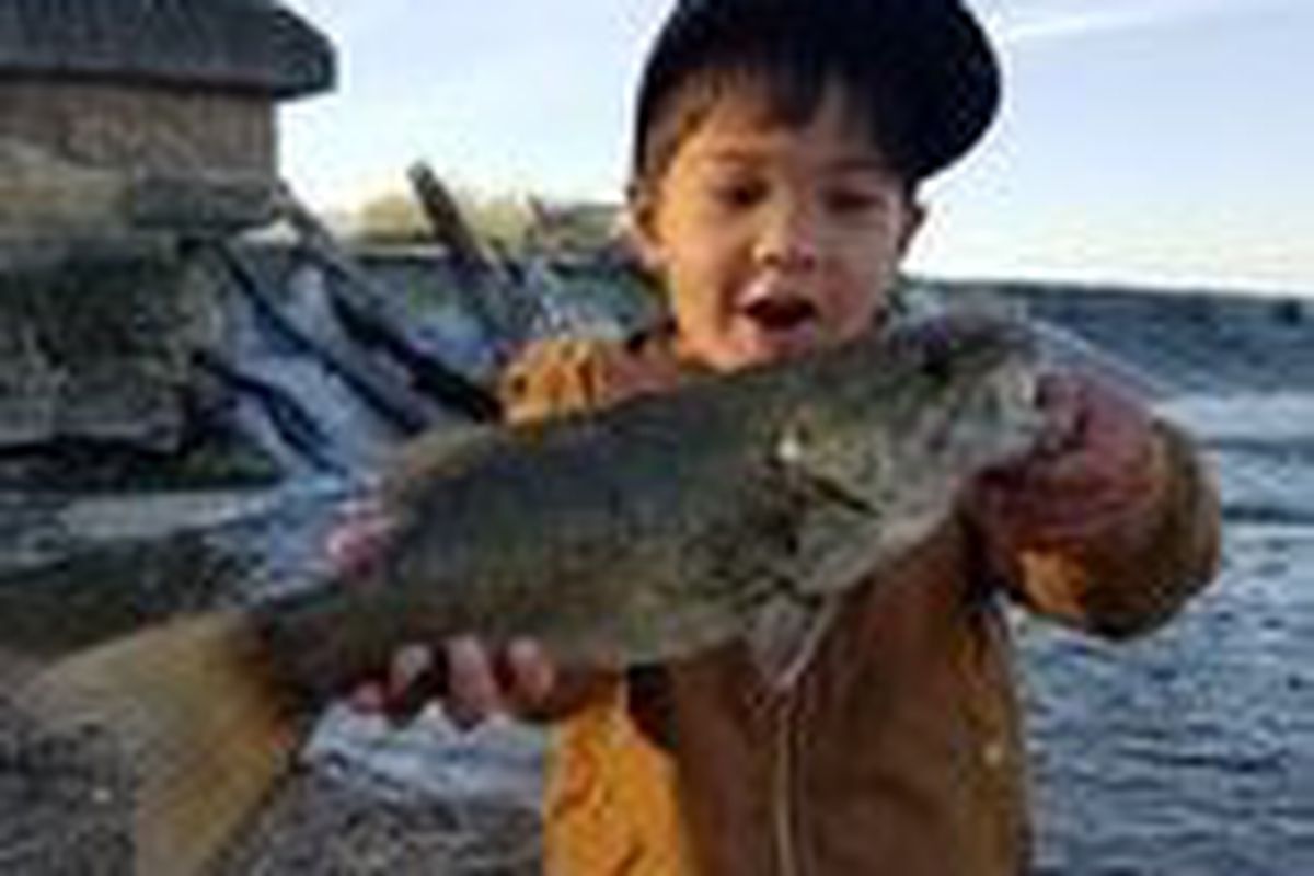 Todd Sanaxay caught his personal-best smallmouth bass to share Fish of the Week. Provided photo