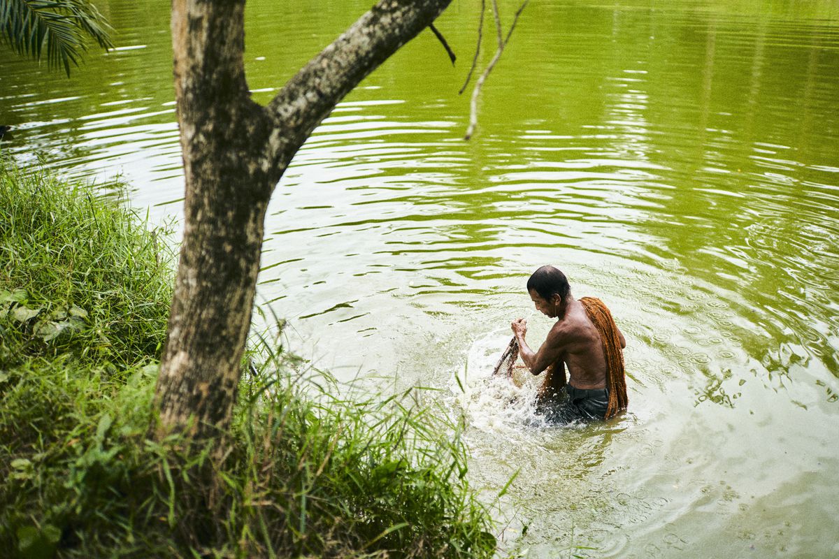A man pulls out a net in a greeniash pond
